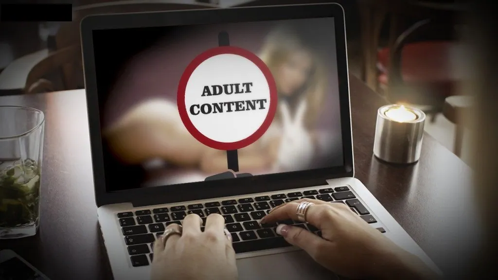 PBN hosting for adult websites