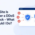 My Site Is Under a DDoS Attack - What Should I Do