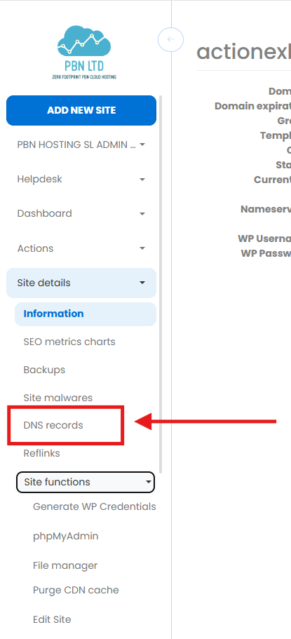 Left-hand menu with DNS records highlighted under Site details