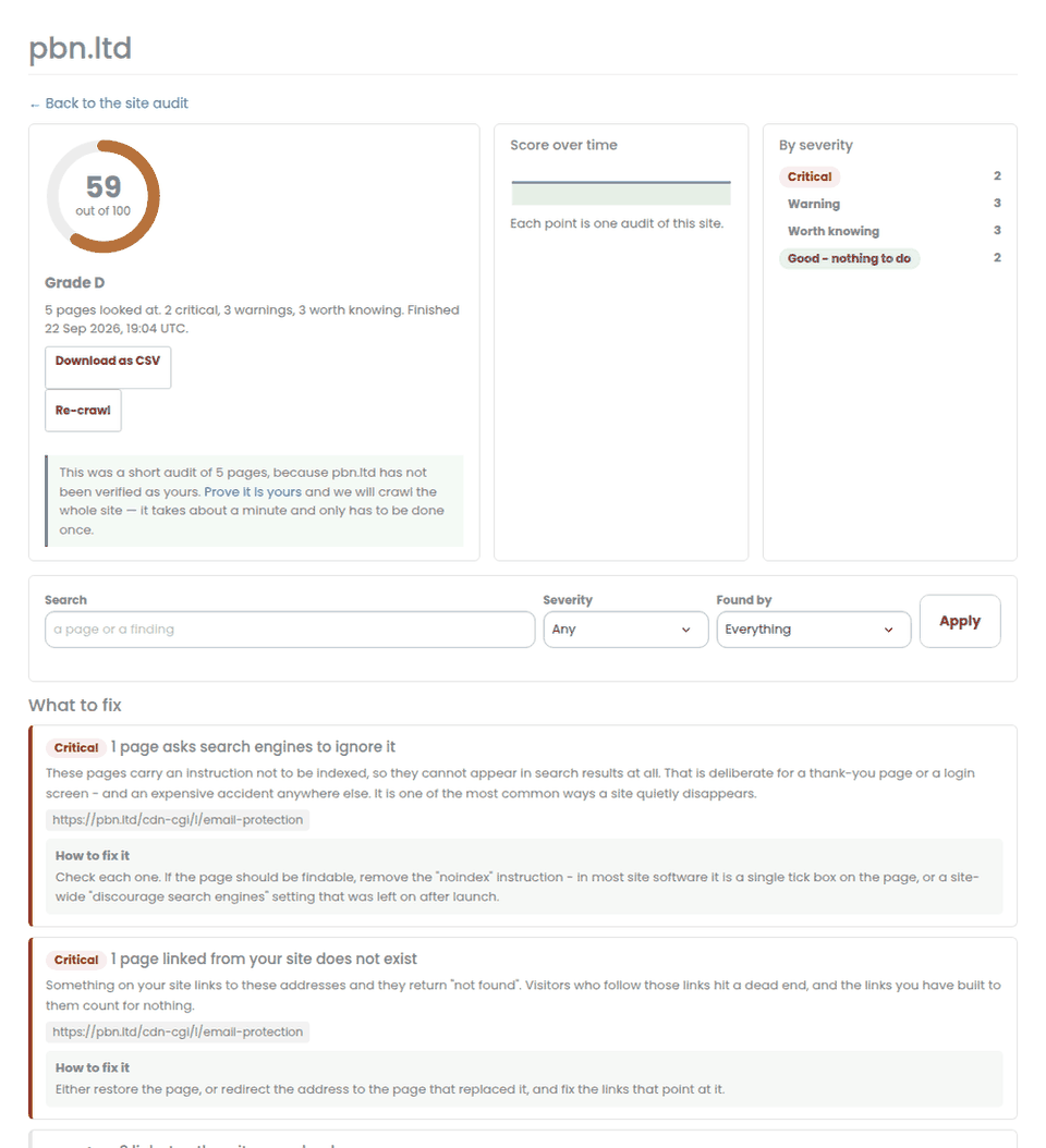 A site audit report: the score, the severity breakdown, and each finding with the pages it affects